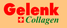 Gelenk Collagen