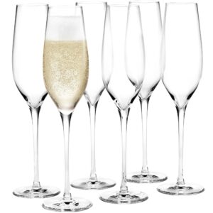 Holmegaard Cabernet Champagneglass 29 cl 6 stk, Klar